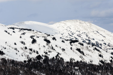 Similar image 2581839