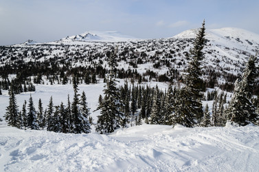 Similar image 2581856