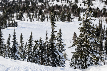 Similar image 2581858