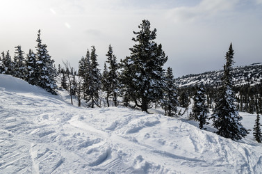 Similar image 2581859