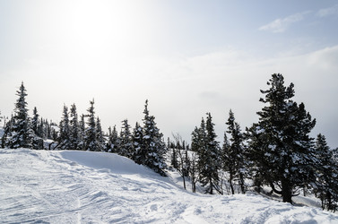 Similar image 2581860