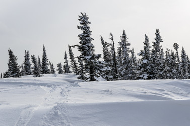 Similar image 2581873