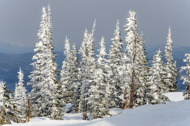 Similar image 2581879