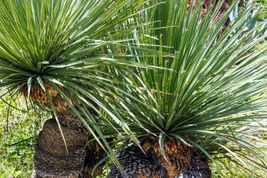 Similar image 2582044