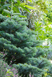 Similar image 2582047