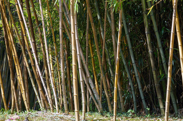 Similar image 2582050