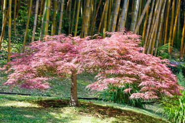 Similar image 2582073