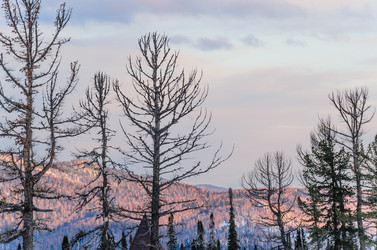 Similar image 2582164