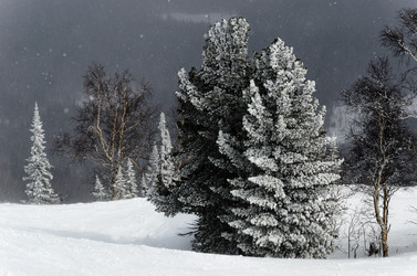 Similar image 2582165