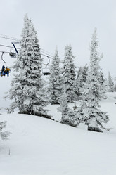 Similar image 2582167