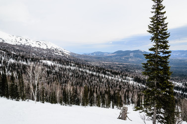 Similar image 2582176