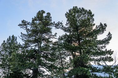 Similar image 2582181