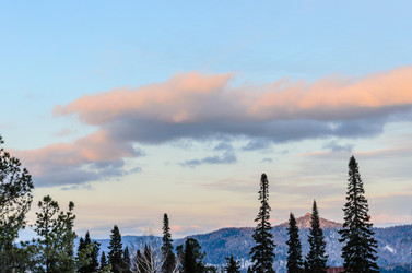 Similar image 2582183