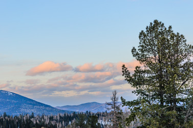 Similar image 2582185