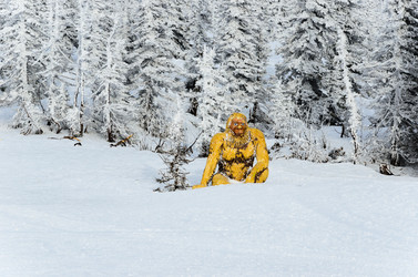 Similar image 2582187