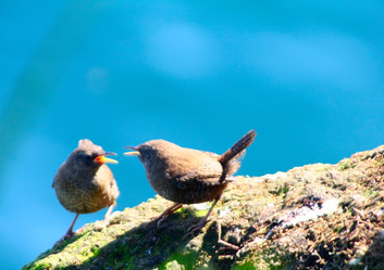 Similar image 2582288