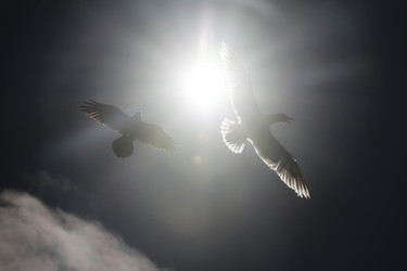 Similar image 2582290