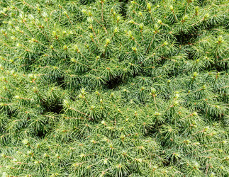 Similar image 2582292