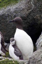 Similar image 2582293