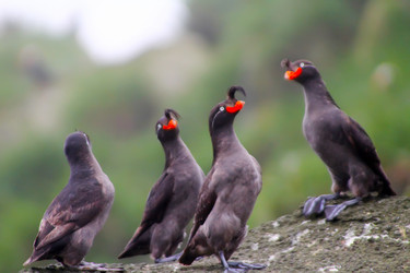 Similar image 2582294