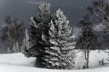 Similar image 2582298