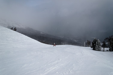 Similar image 2582301