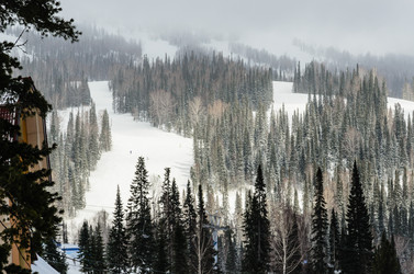 Similar image 2582303