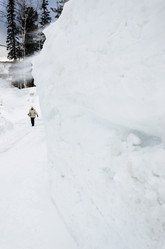 Similar image 2582306