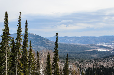 Similar image 2582316