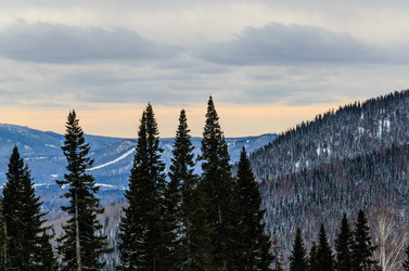 Similar image 2582315