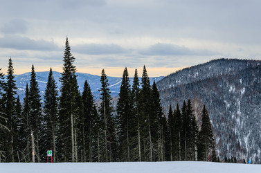 Similar image 2582319