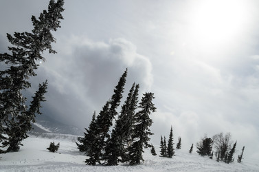 Similar image 2582322