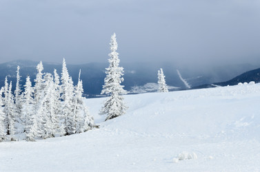 Similar image 2582323