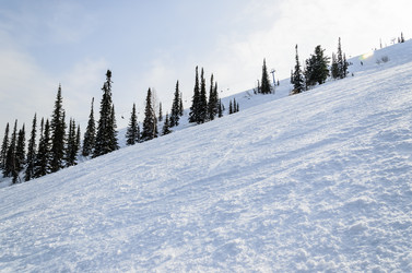 Similar image 2582346