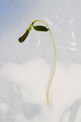 Similar image 2582381