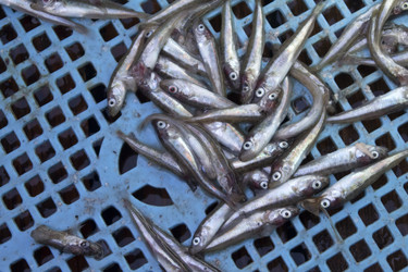 Similar image 2582383