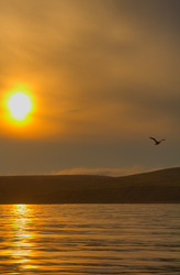 Similar image 2582390