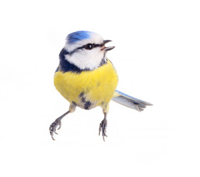 Similar image 2582394