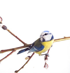 Similar image 2582396