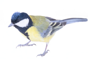 Similar image 2582398