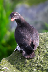 Similar image 2582403