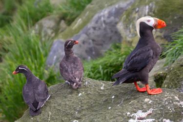 Similar image 2582404