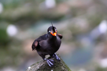 Similar image 2582414