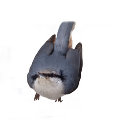 Similar image 2582415