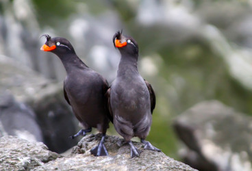 Similar image 2582416