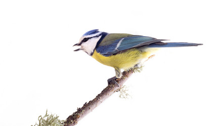 Similar image 2582418