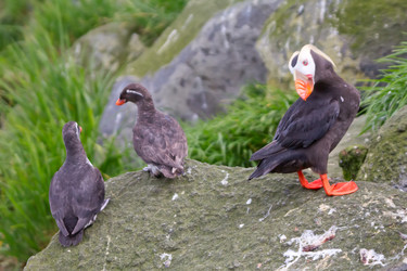 Similar image 2582419