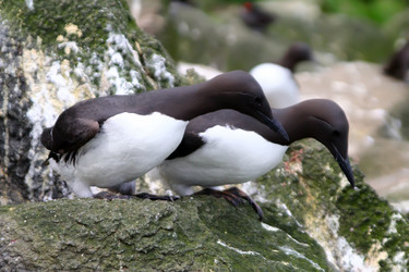 Similar image 2582448