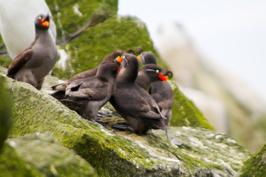 Similar image 2582451