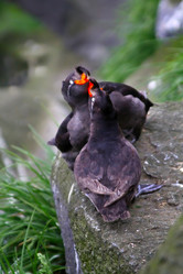 Similar image 2582452